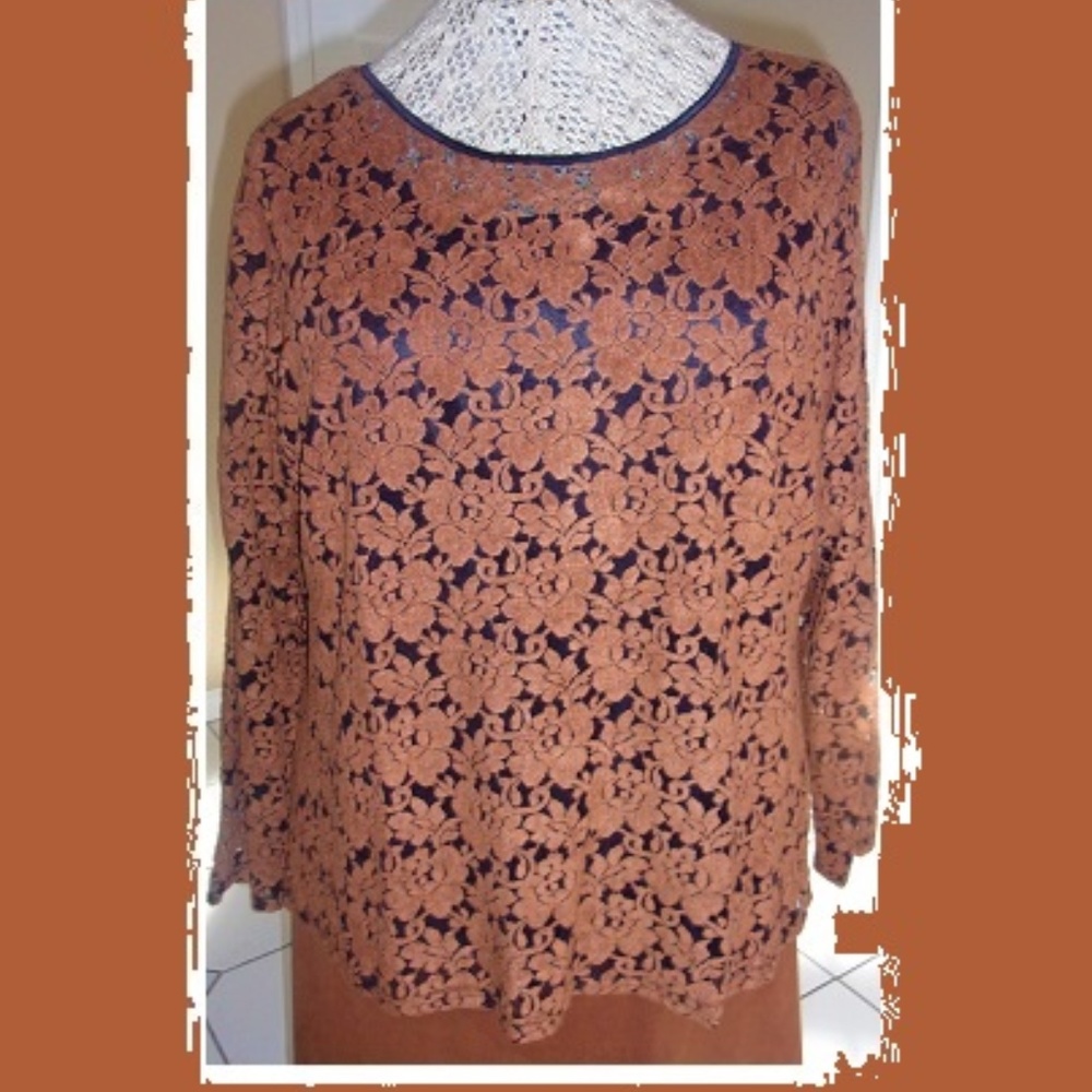 Cinnamon Velvet Flocked Floral Lace Blouse